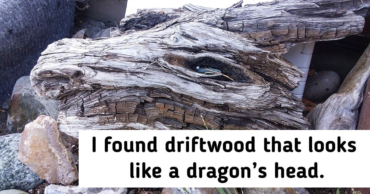 23 People Who Are Always Ready to Capture Nature’s Stunts With Their Cameras