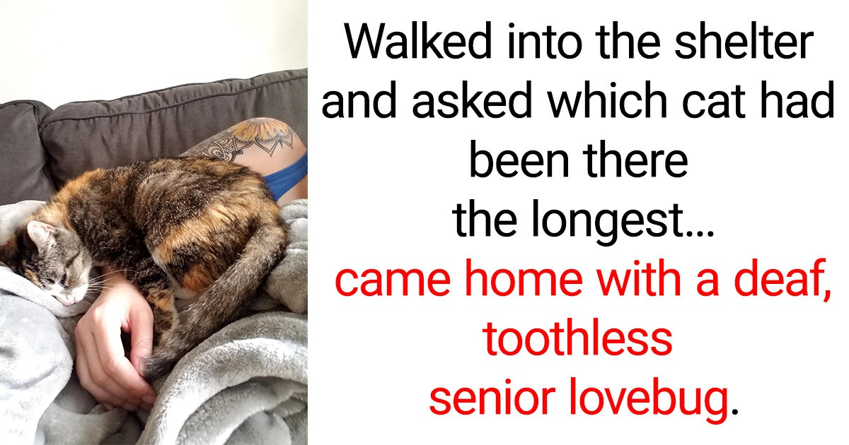 14 Touching Pics of Human Kindness That Will Lift Your Spirits