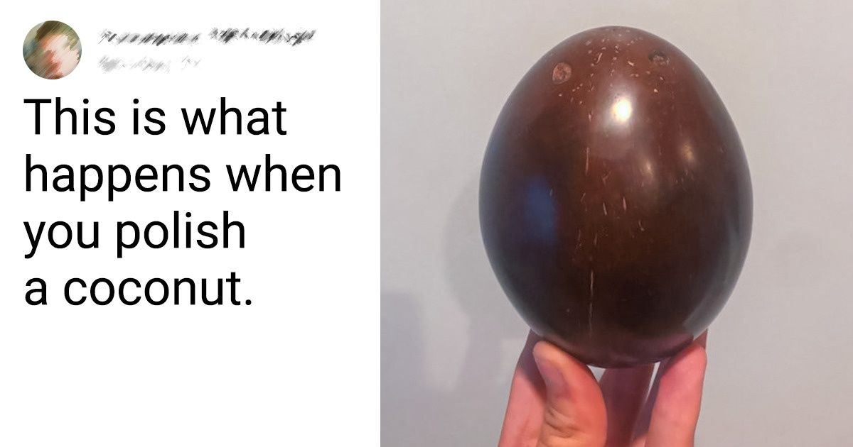 17 Eye-Opening Pics That Could Be Posted With the Hashtag #TodayILearned