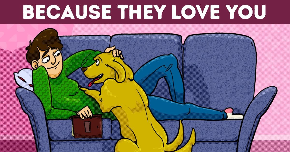 What It Means When a Dog Puts Its Paws on You, and 4 Exercises to Prevent It From Happening What It Means When a Dog Puts Its Paws on You, and 4 Exercises to Prevent It From Happening