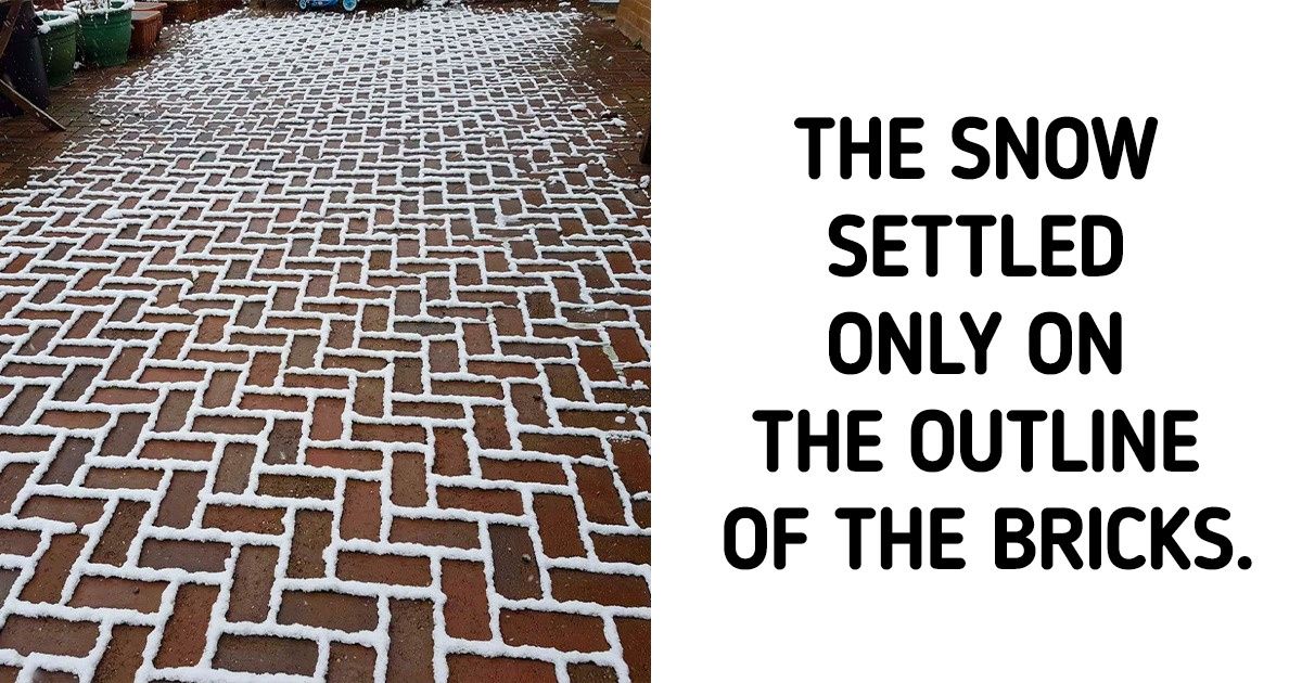 20 Times Nature Amazed Us With Its Fascinating Beauty