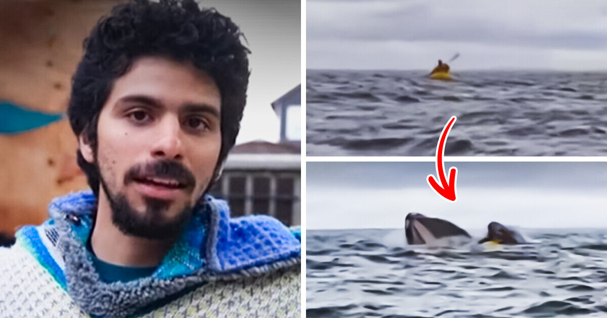 Man Reveals What It Felt Like Being Swallowed By Whale and How He Survived Man Reveals What It Felt Like Being Swallowed By Whale and How He Survived