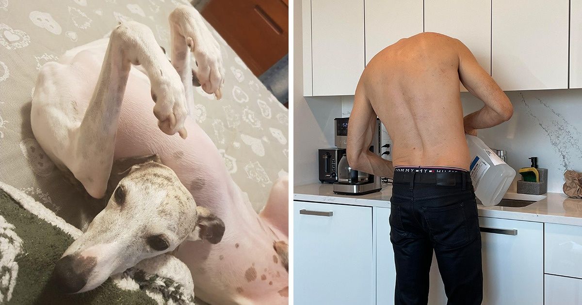 15+ Photos That Left Us More Confused Than Ever