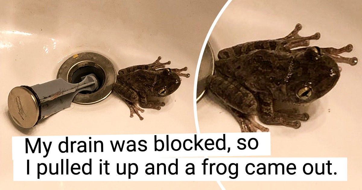 15 People Whose Life Just Doesn’t Get Boring