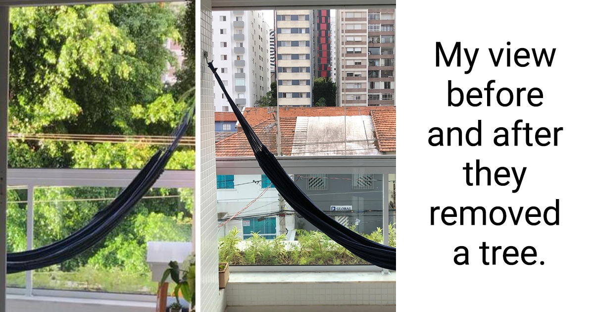 15 People Whose Luck Ran Out