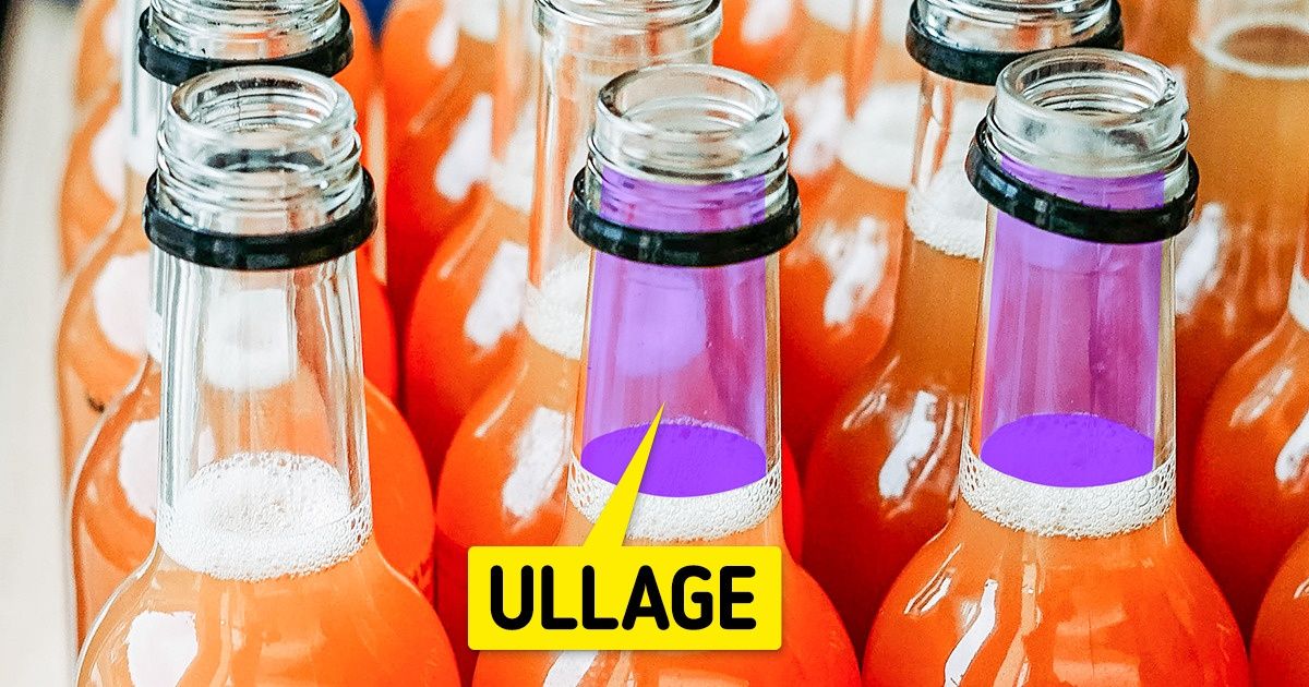 25 Things You See Every Day but Don’t Know Their Names