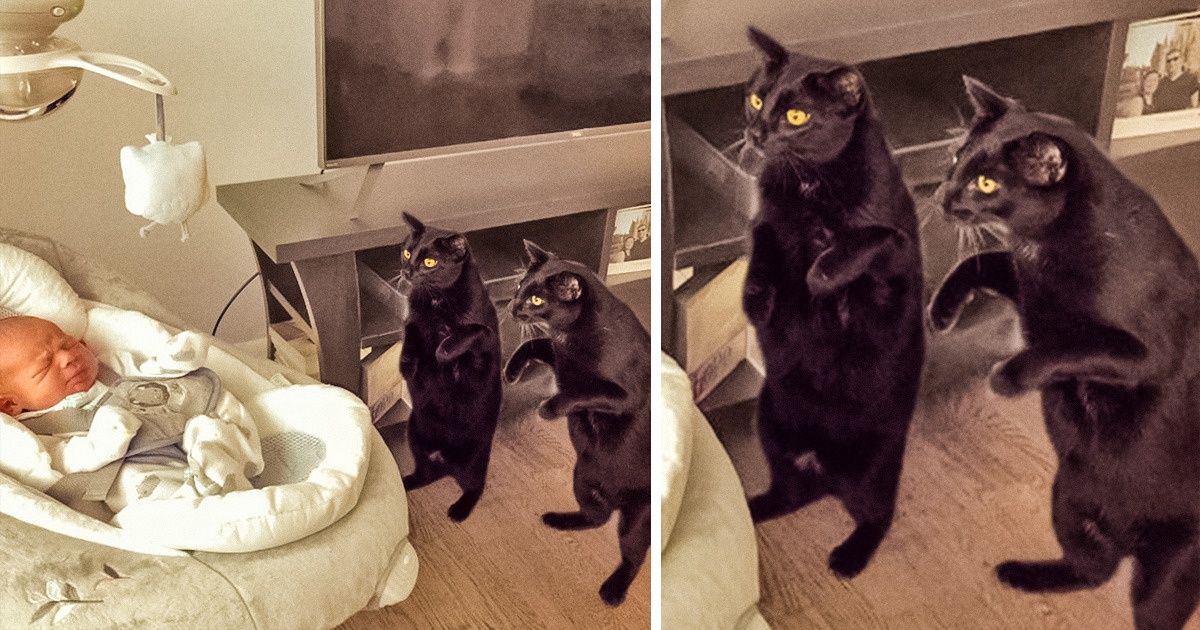 22 Photos That’ll Keep You Smiling Through the Rest of This Fall