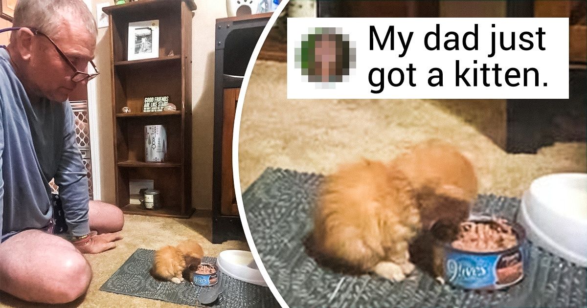 20+ Pets That Make Men’s Hearts Melt Like Ice on a Hot Day 20+ Pets That Make Men’s Hearts Melt Like Ice on a Hot Day
