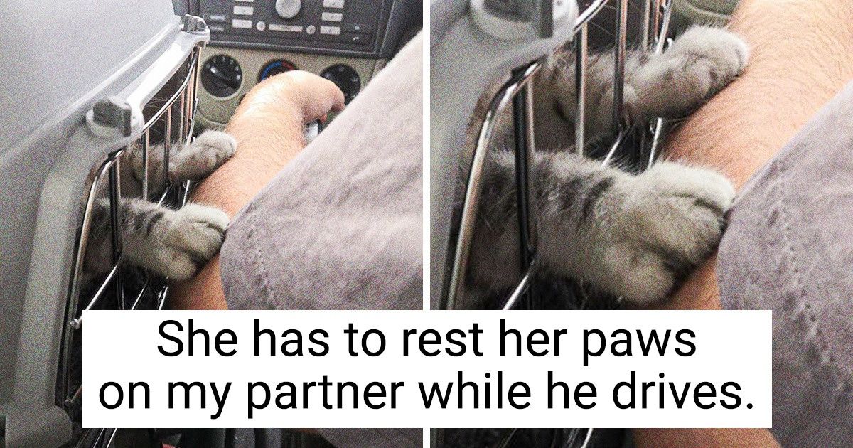 18 Humans and Pets That Can’t Bear to Be Apart From One Another