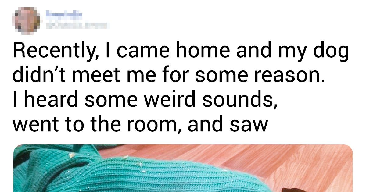 18 Situations When Good Boys Couldn’t Help Themselves and Went a Little Bit Wild 18 Situations When Good Boys Couldn’t Help Themselves and Went a Little Bit Wild
