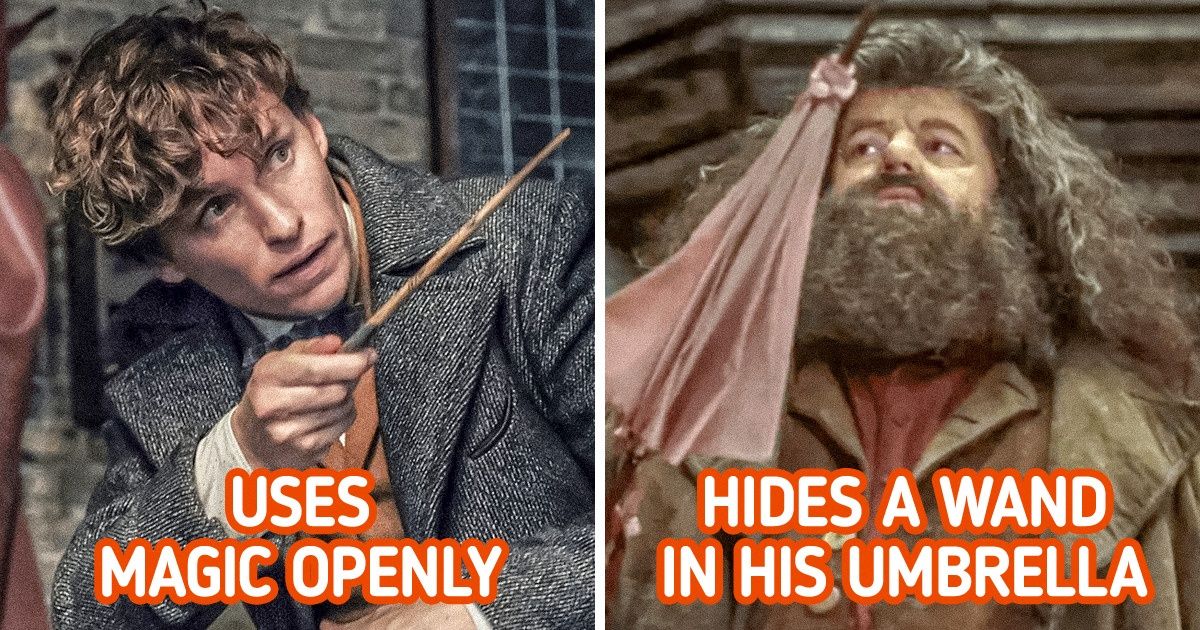 10+ Curious Questions We’d Like to Ask the Creators of Fantastic Beasts 10+ Curious Questions We’d Like to Ask the Creators of Fantastic Beasts