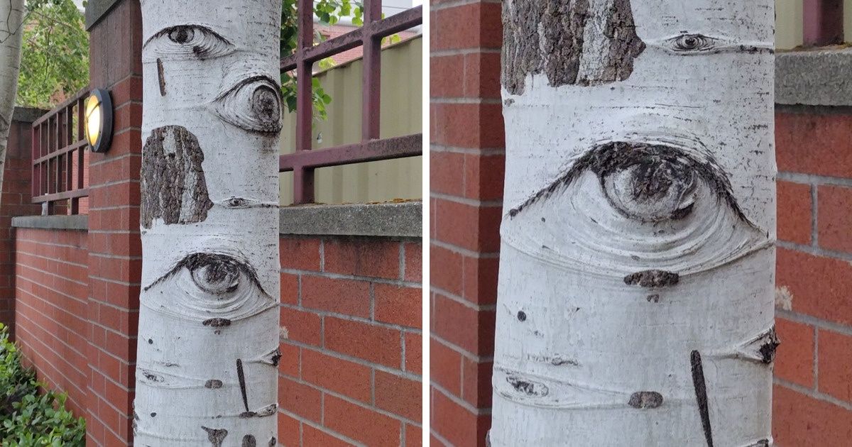 15+ Wonders of Nature That People Found Lying Around