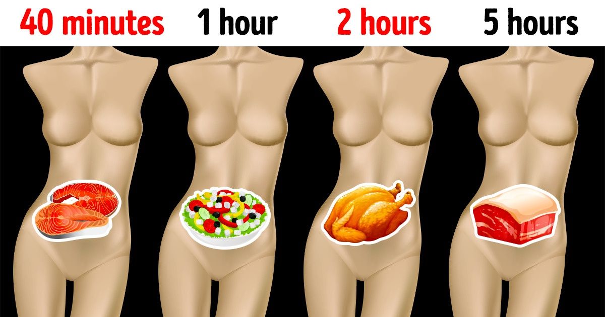 How Long Different Foods Take to Digest, and Why It’s Important to Know / Bright Side