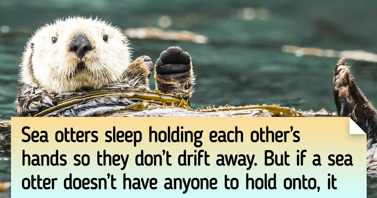 20+ Short Facts That’ll Turn Your Life Upside Down