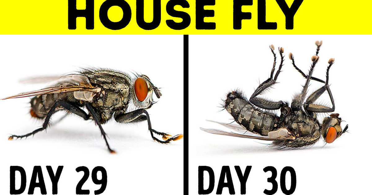 18 Rarely Shared Facts That Will Make You Think Again 18 Rarely Shared Facts That Will Make You Think Again