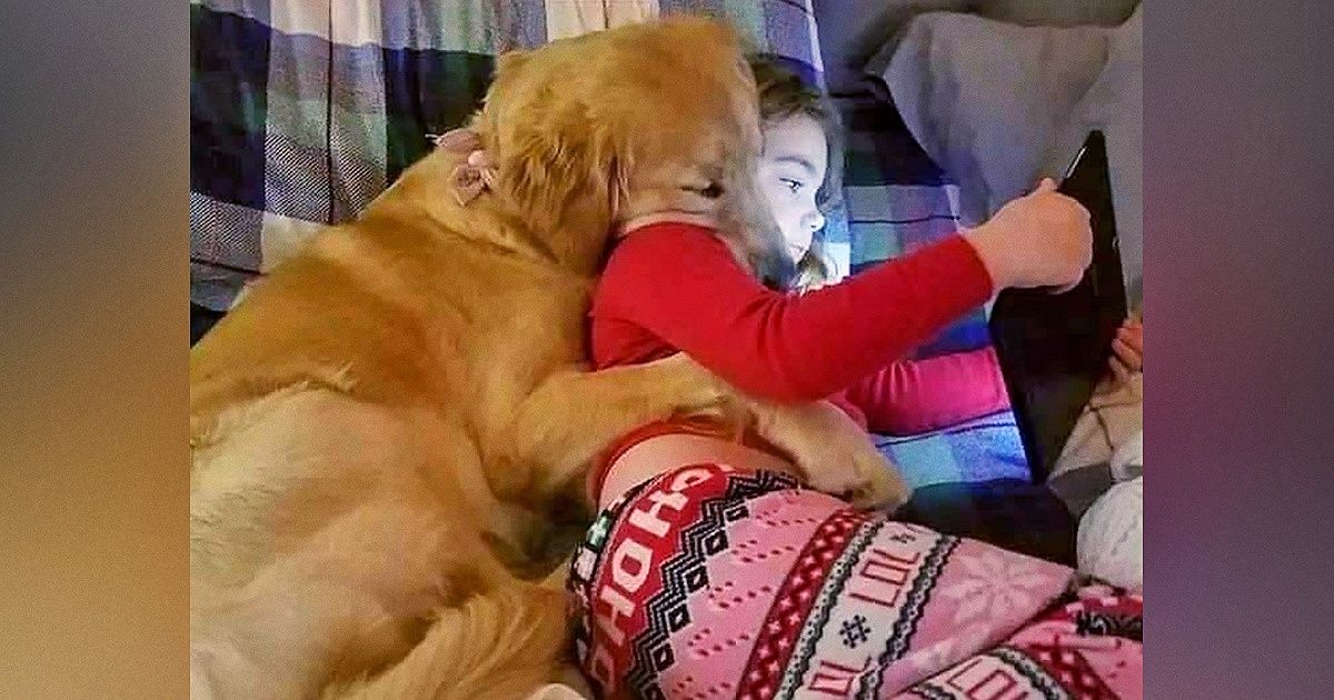 20 Bright Side Readers Shared Pictures of Their Pets, and They Are Really Sweet and Funny