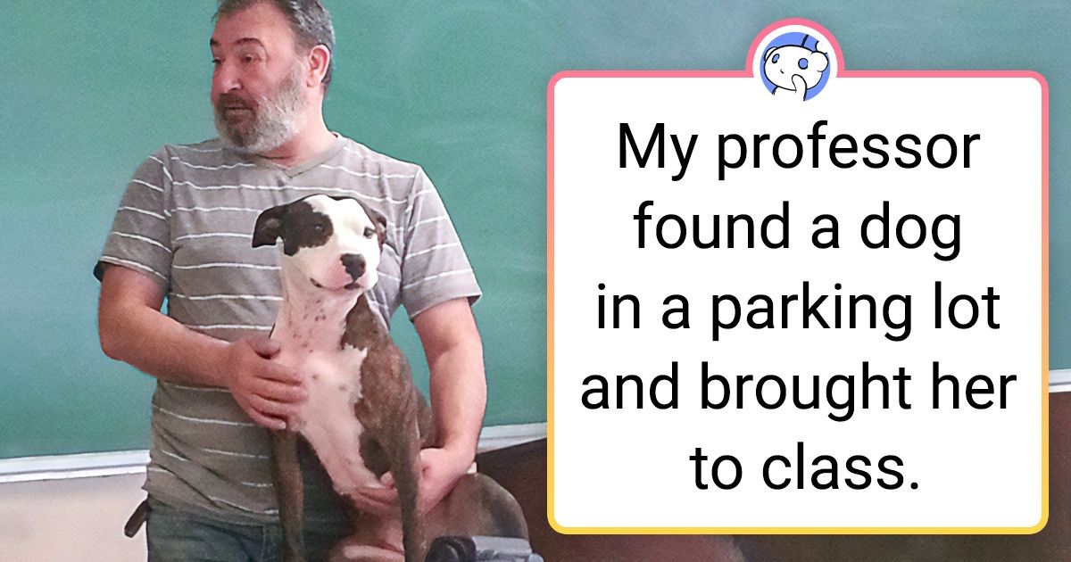 15+ Photos That Can Make Your Heart Fly Off the Handle