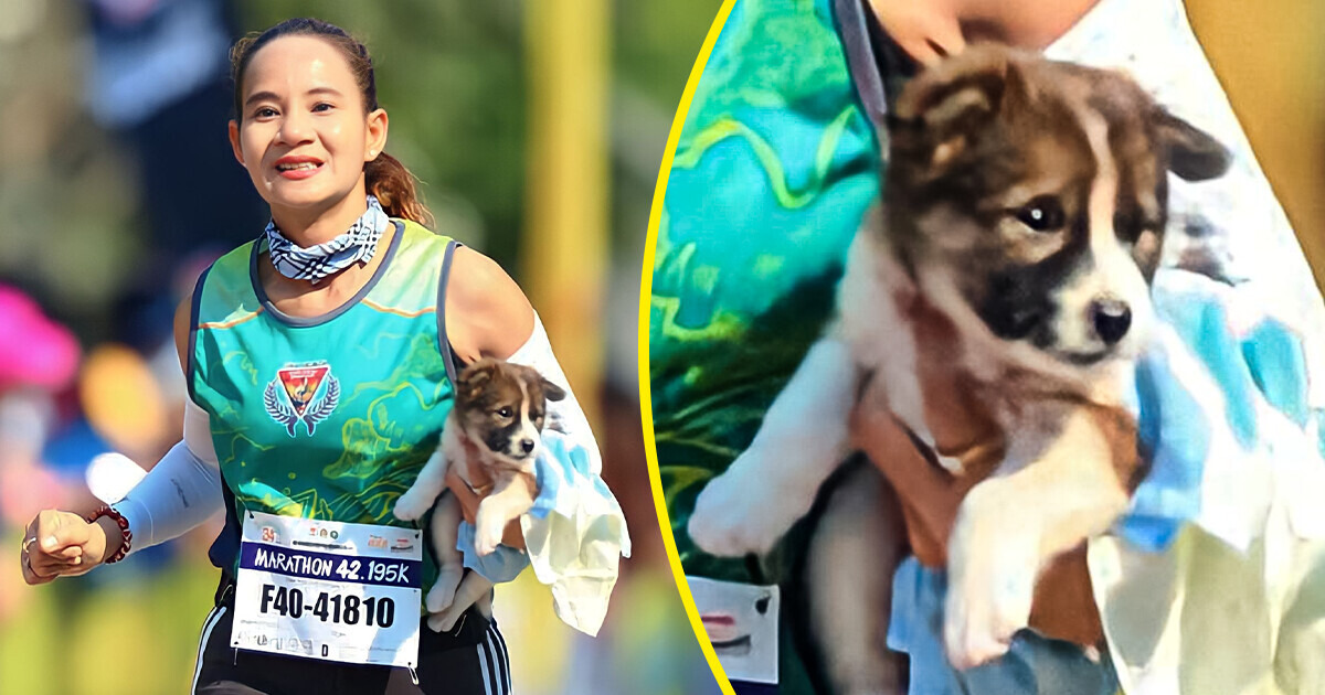 A Marathon Runner Crossed the Finish Line With the Abandoned Puppy She Saved Along the Way