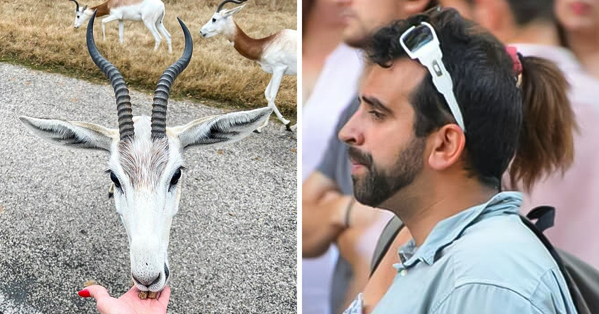 16 Pictures That May Make You Book an Appointment With Your Eye Doctor