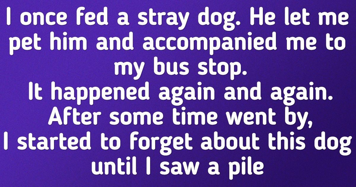 20+ Pets That Adopted Weird Habits to Manipulate Their Owners 20+ Pets That Adopted Weird Habits to Manipulate Their Owners