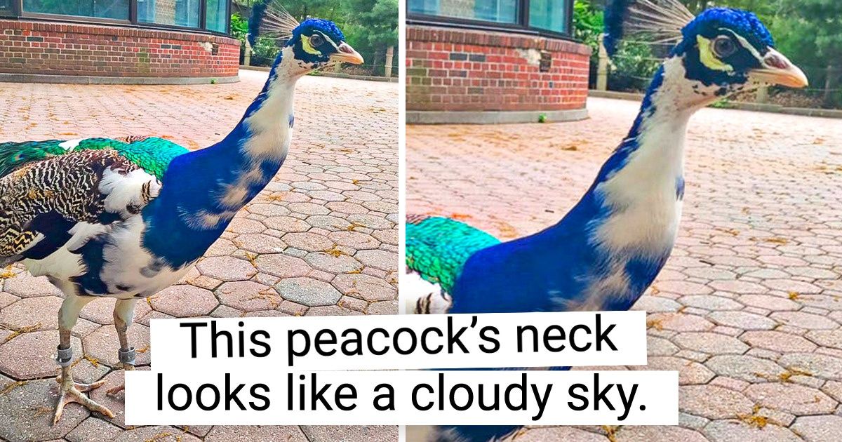 15+ Pics That Prove Mother Nature Would Be the Best Student in Any Design School 15+ Pics That Prove Mother Nature Would Be the Best Student in Any Design School