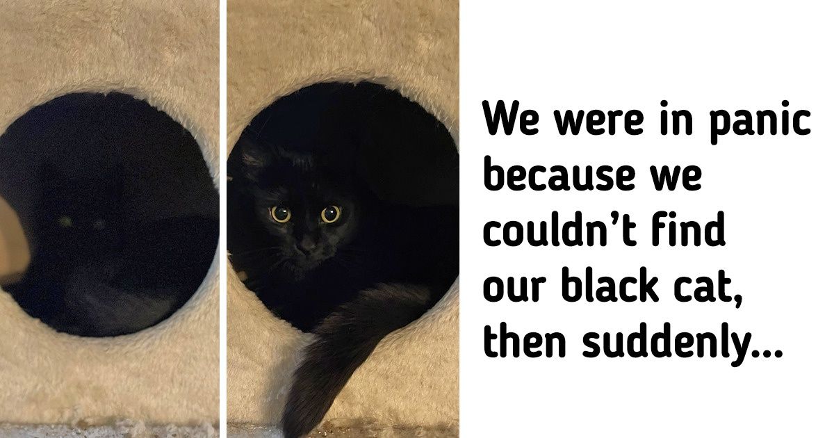 15 Accidents That Turned People Into One Huge Smile