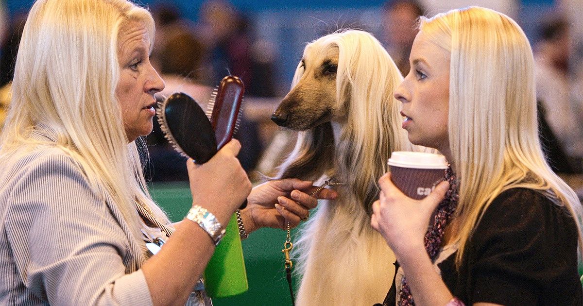 18 Bizarre and Amusing Coincidences Which Prove That the World Is a Strange Place