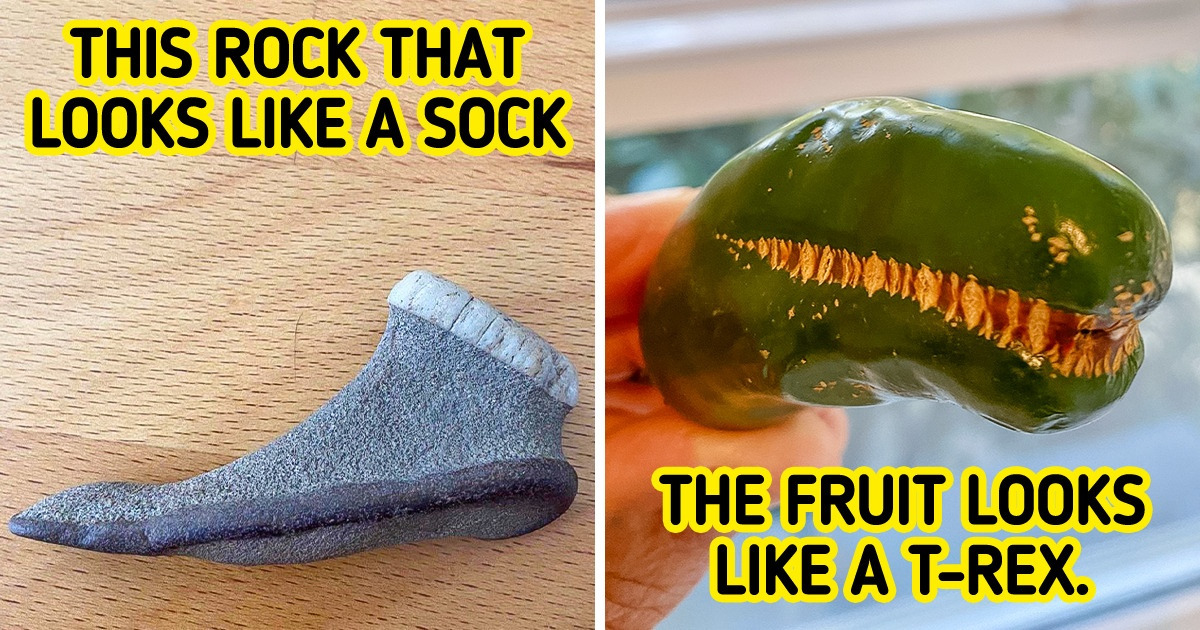 15+ Times People Caught Nature in a Creative Mood
