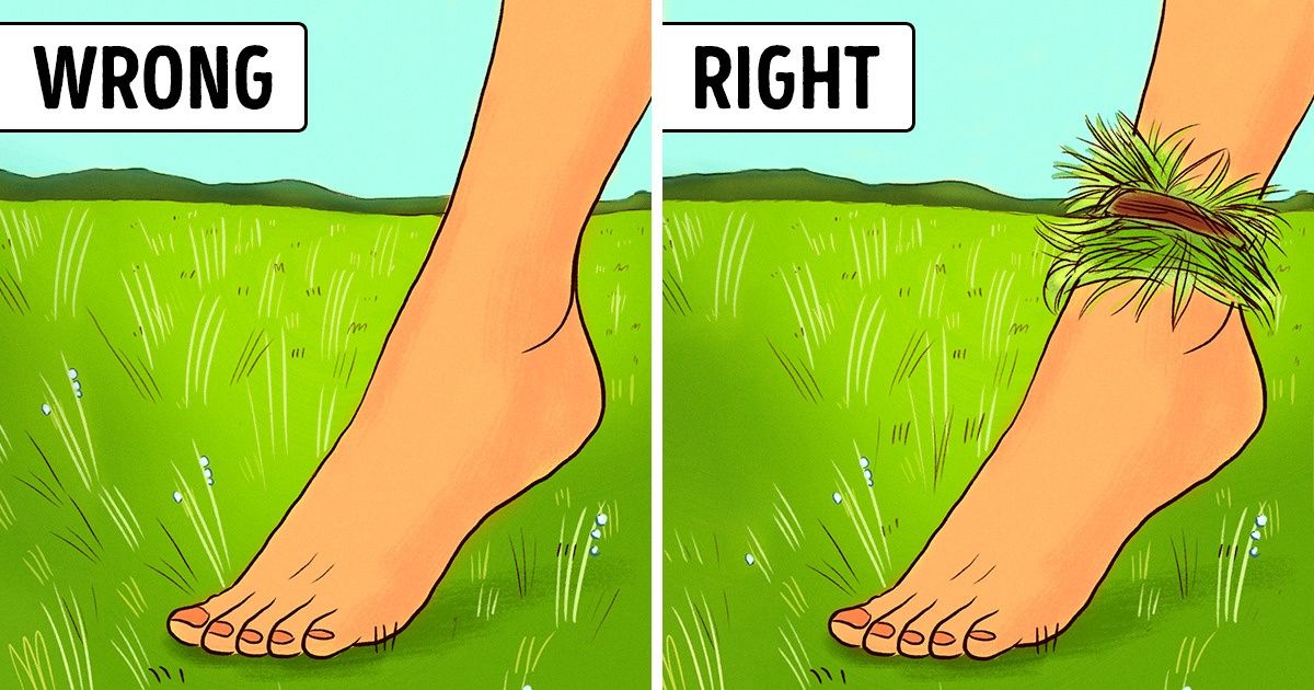 10 Survival Tips That Can Really Save Your Butt Out There 10 Survival Tips That Can Really Save Your Butt Out There