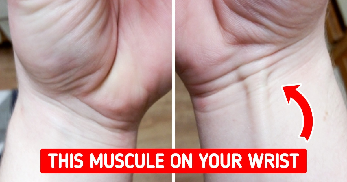 7 Body Facts Common Only for a Small Percentage of People