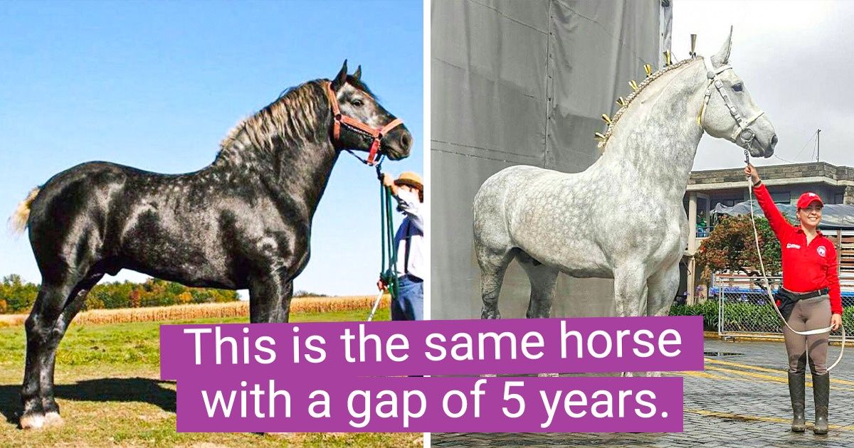 20 Rare Things Most People Get to See Only Once in a Lifetime