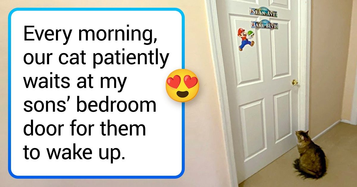 20 Pics That Prove Our Pets Have Their Own Morning Habits Just Like Us 20 Pics That Prove Our Pets Have Their Own Morning Habits Just Like Us