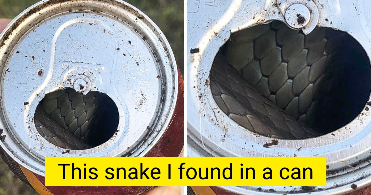 17 Random Discoveries That Made People Open Their Eyes Wide 17 Random Discoveries That Made People Open Their Eyes Wide
