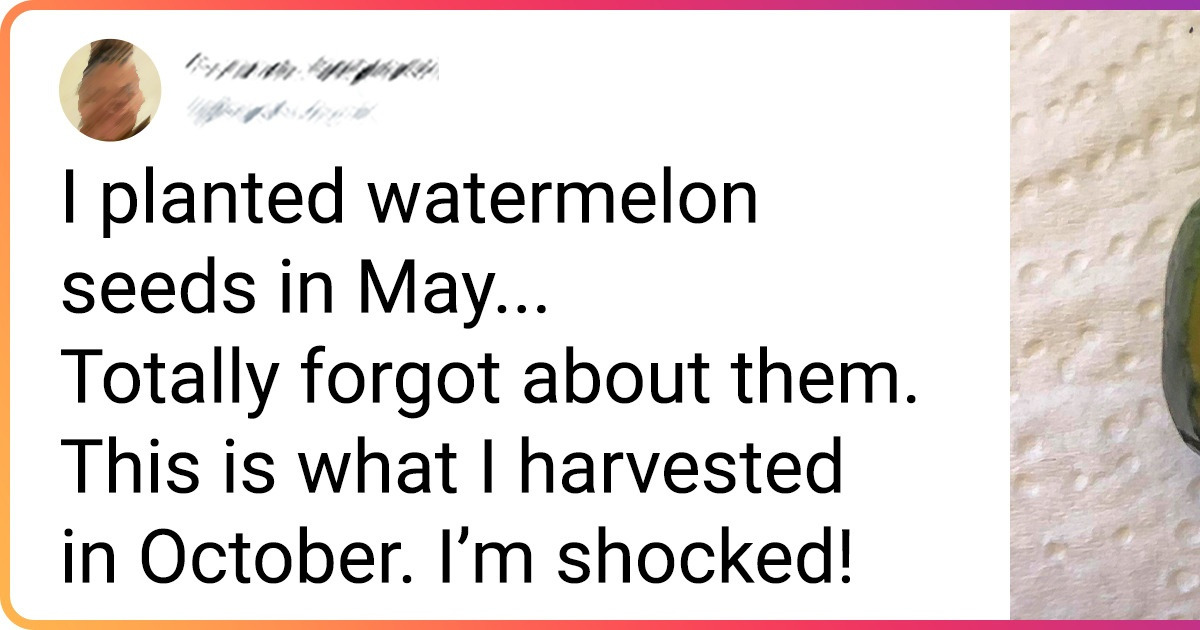 16 Gardeners Who Surprised Us With Their Harvest