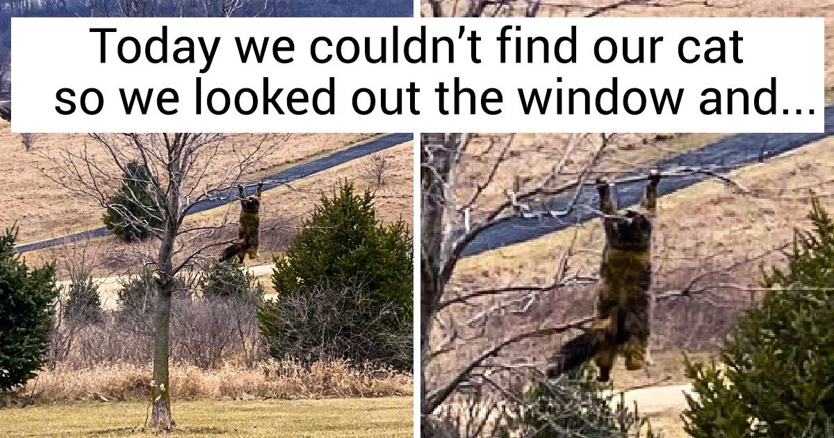 12 Photos With Backstories So Intriguing, You May Lose Sleep 12 Photos With Backstories So Intriguing, You May Lose Sleep