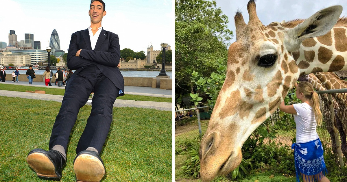 20 Pictures That Can Make You Feel Like You Need to Question Reality Even Further