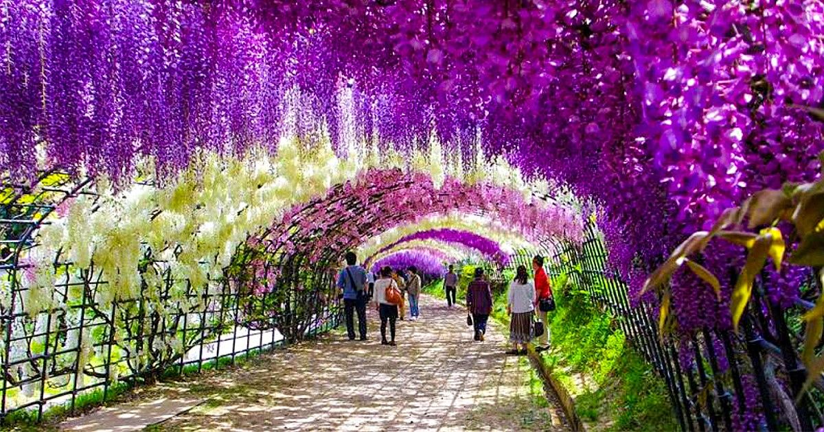 21 Gorgeous Places Where We’d Like to Stay Forever
