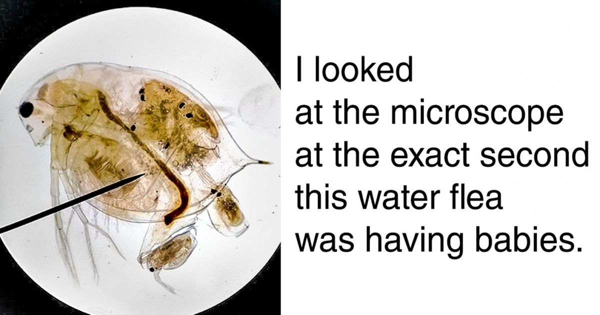 25 People Who Were So Surprised by Life That They Couldn’t Keep Silent