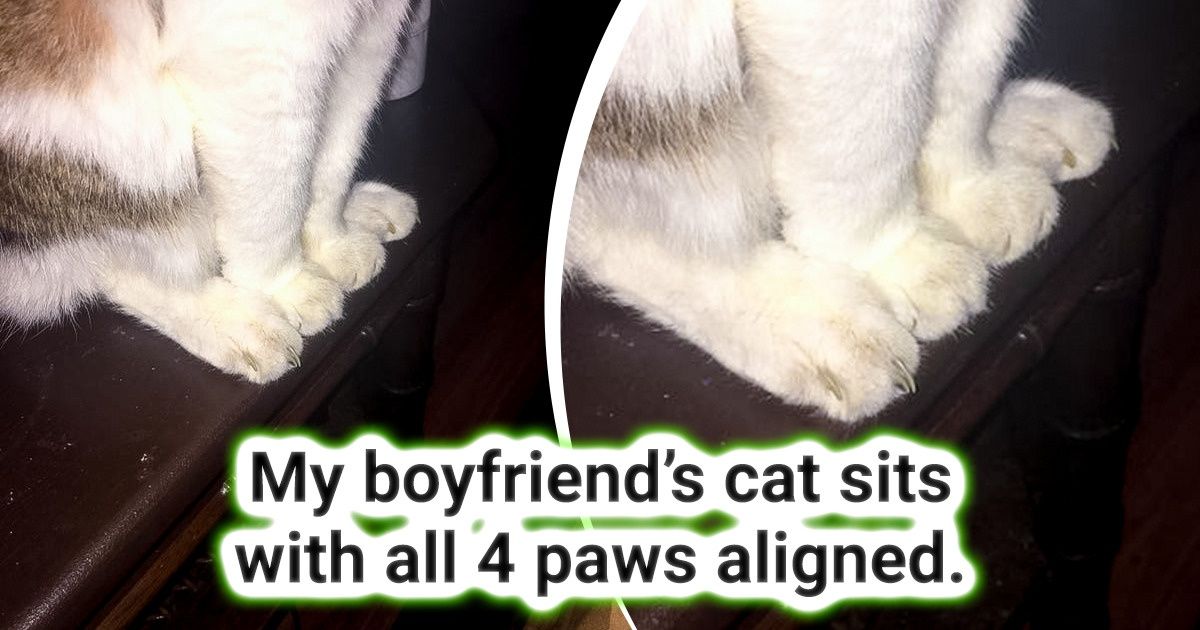 23 People Who Showed Us Something Special in Ordinary Things