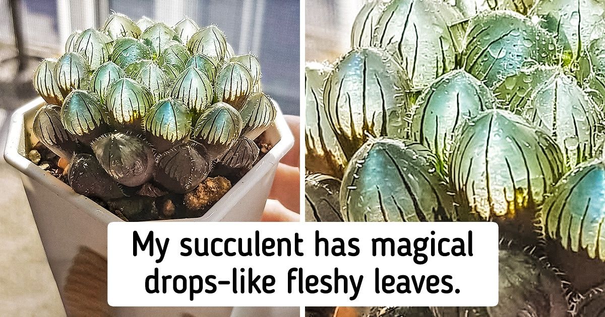 20+ Things That Prove Nature Is a Limitless Source of Inspiration