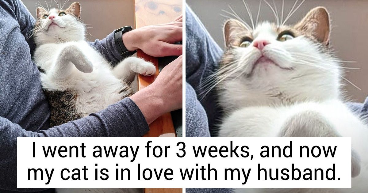 16 Pets That Are So Emotional, Their Humans Can Read Them Like an Open Book 16 Pets That Are So Emotional, Their Humans Can Read Them Like an Open Book