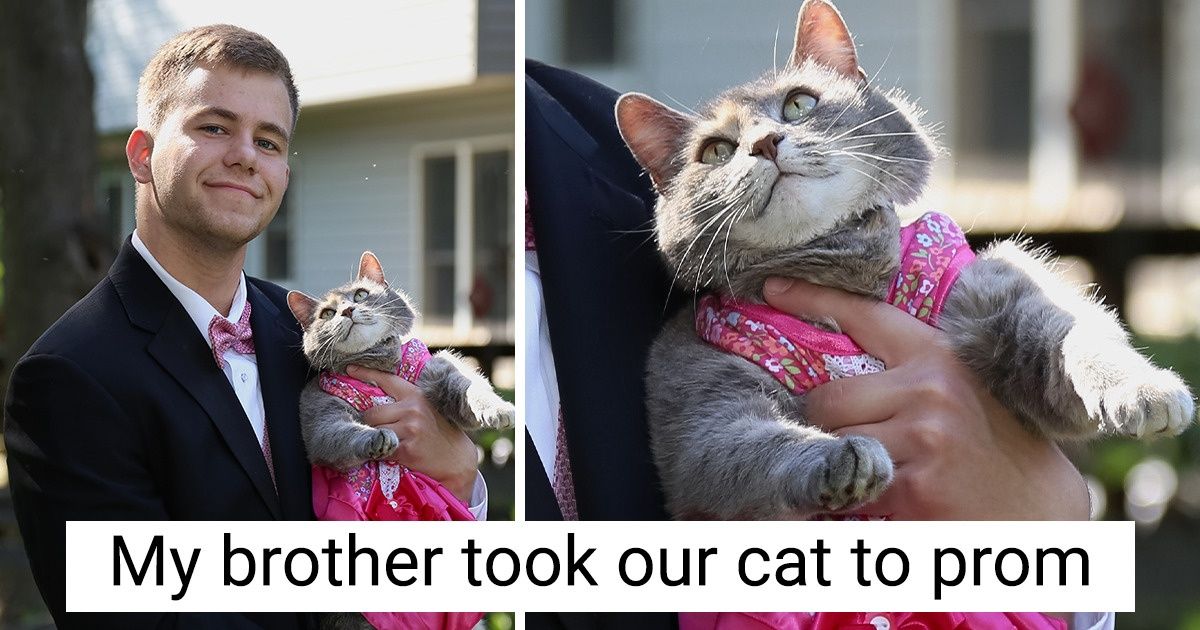 20 Pics That Proved Life Around Us Is Full of Comedy
