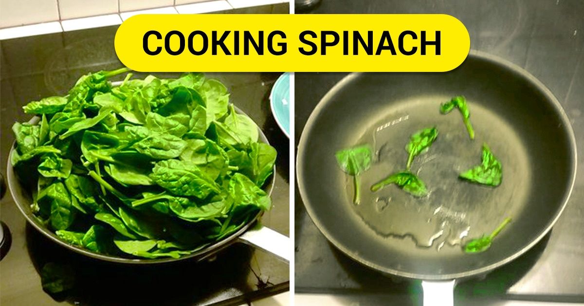 19 Food Memes That Can Make Your Stomach Hurt From Laughing So Hard