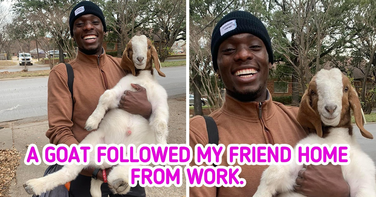 16 Pics That Let You Feel Sincere Joy Through the Screen