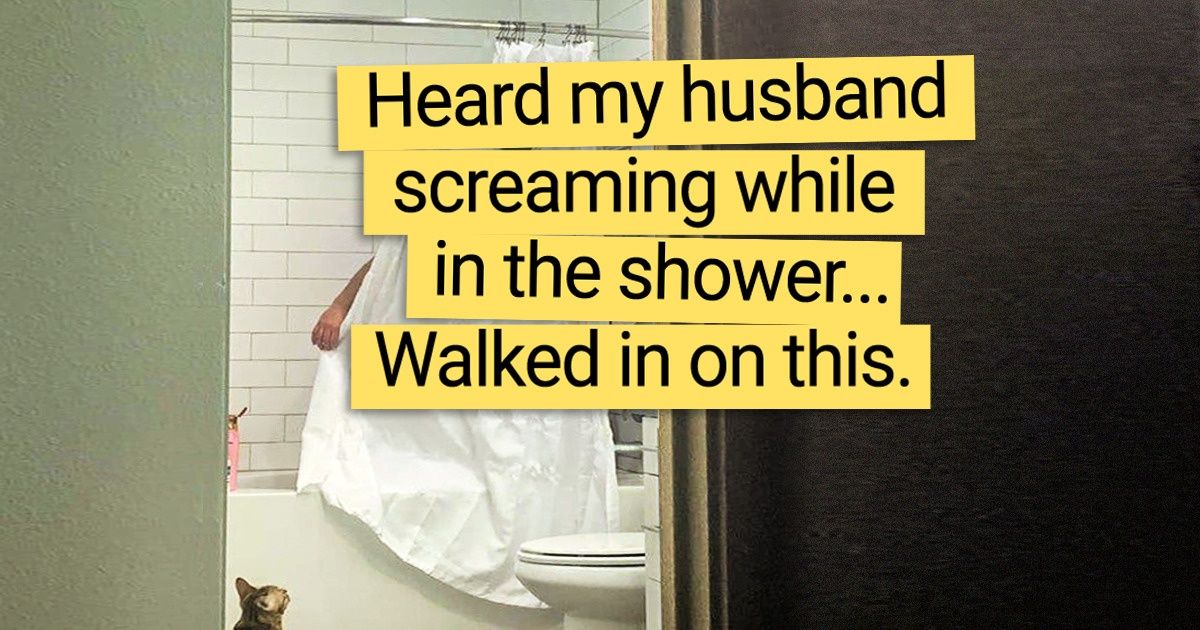 20+ Animals Who Made a Mistake but Look So Cute That It’s Impossible to Stay Angry at Them