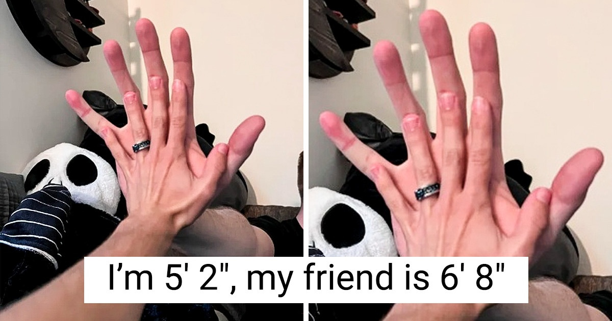 15+ Pics That Prove Life Is Able to Surprise Us Every Day