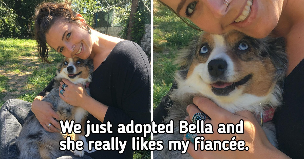 16 Pets That Dote on Their Humans