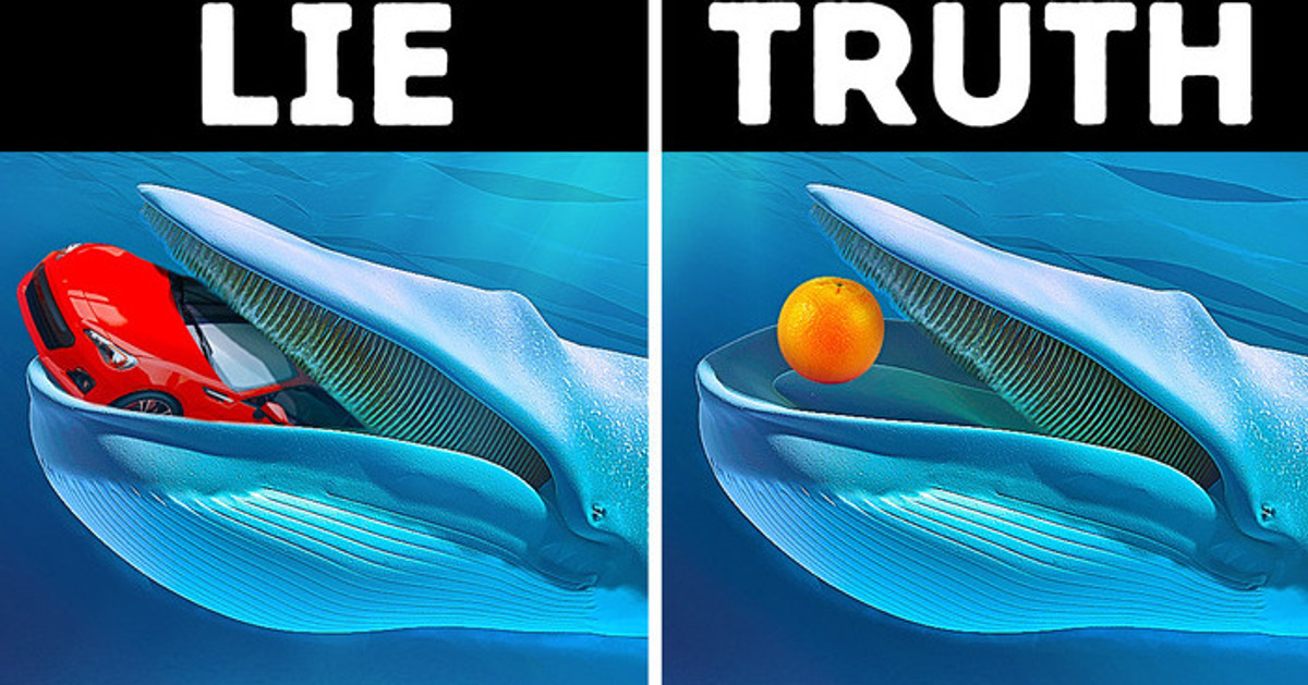 Grapefruit Is the Largest Thing a Whale Can Swallow, Here’s Why