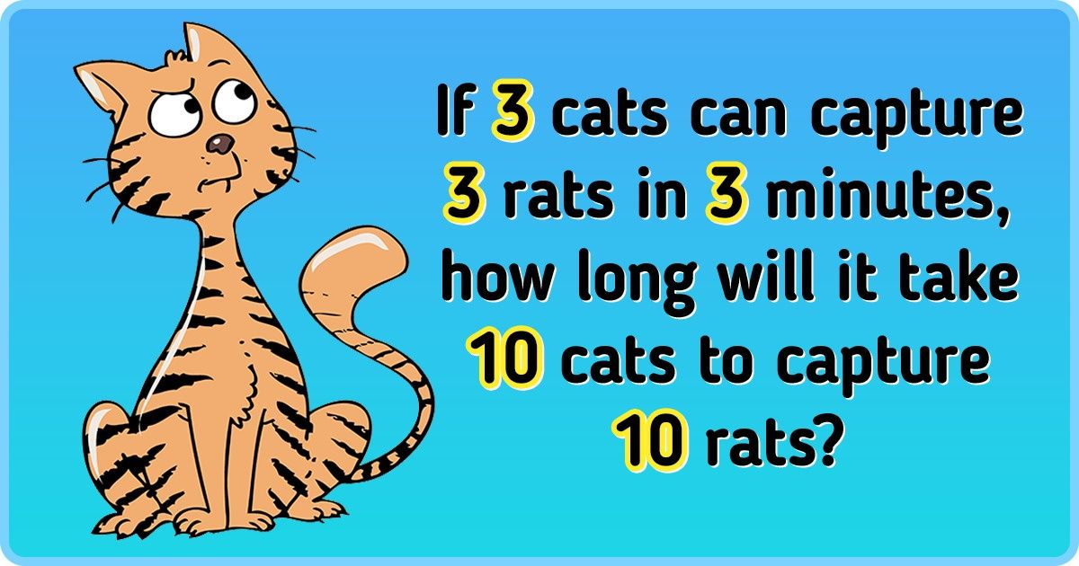 15 Math Riddles That Can Make Your Brain Go Numb