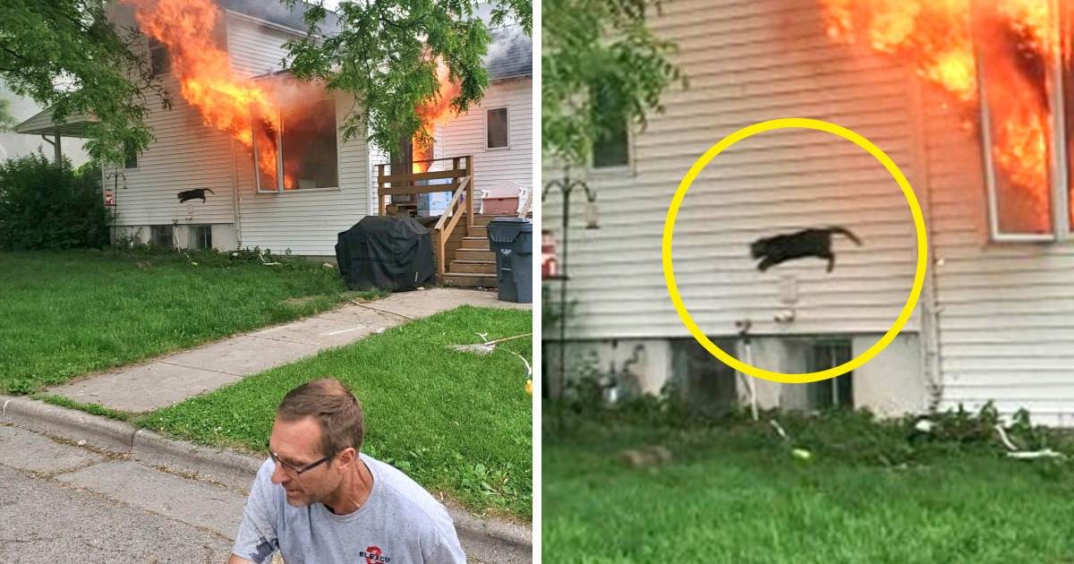 10+ Pictures That Piqued Our Curiosity